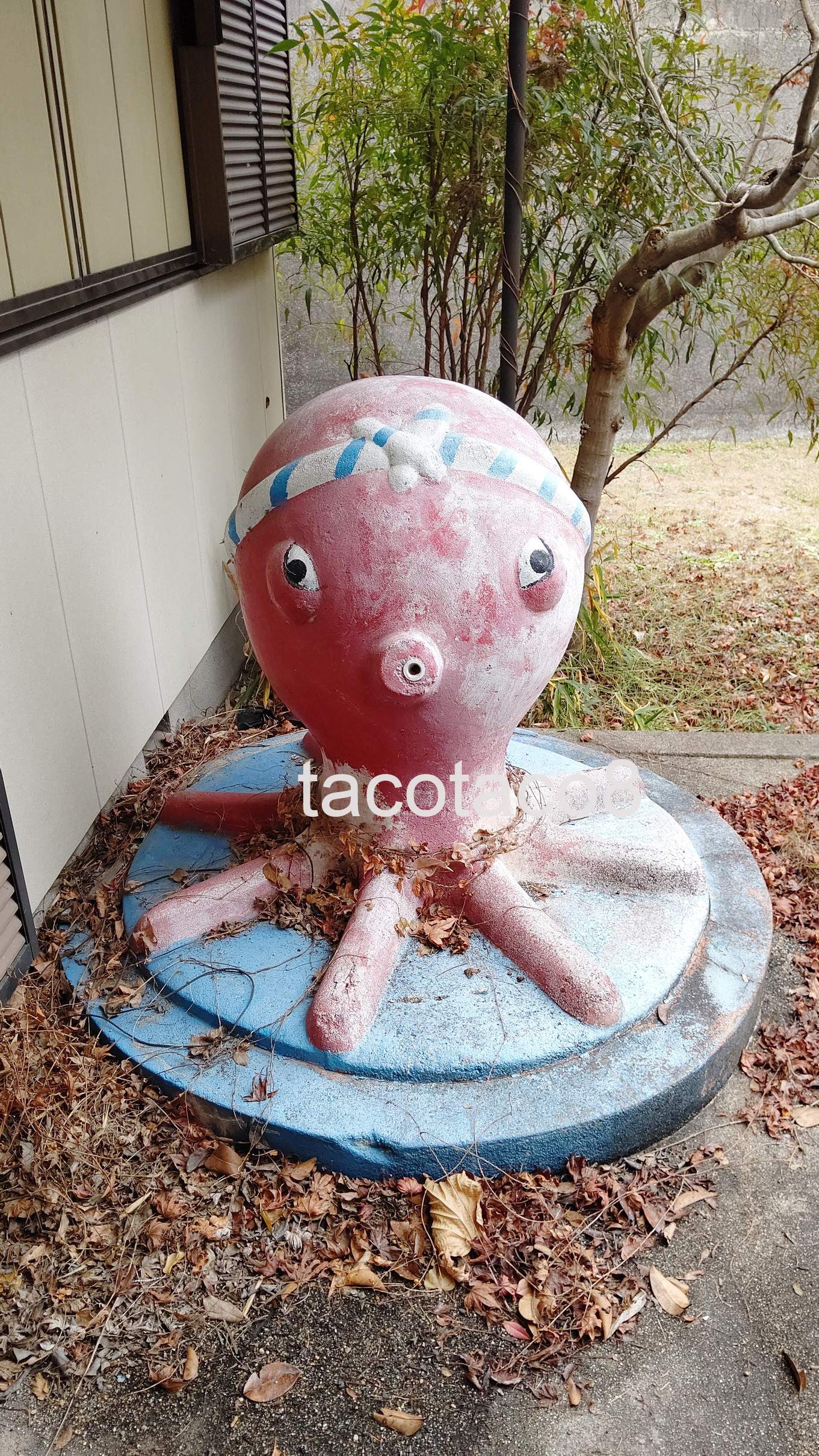 7c4e5ca105d808832f8c8ec9e79d69